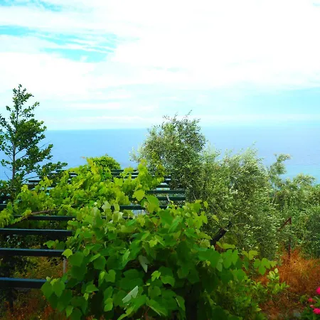 Apartment Felitsia & Studios *