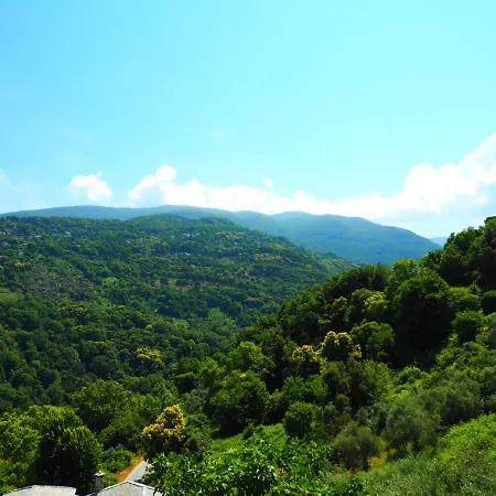 Felitsia & Studios Apartment *