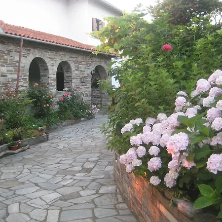 Felitsia & Studios *