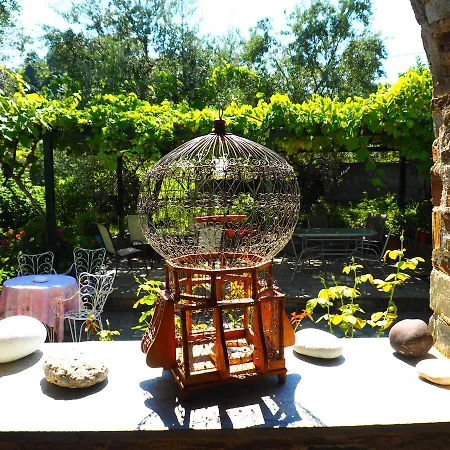 Felitsia & Studios Apartment Agios Ioannis (Thessaly)