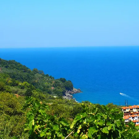 Felitsia & Studios Apartment