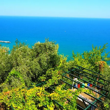 Felitsia & Studios * Agios Ioannis (Thessaly)