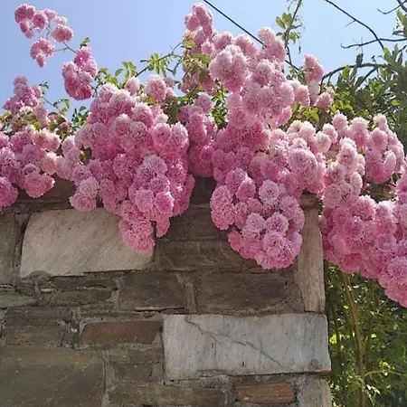 Felitsia & Апартаменты Agios Ioannis (Thessaly)