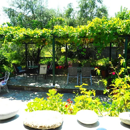 Апартаменты Felitsia &